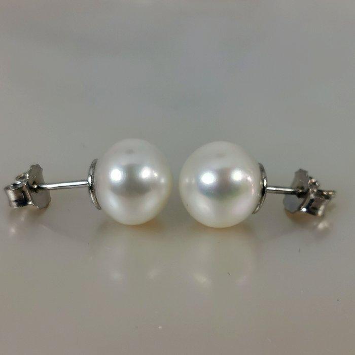 Zonder minimumprijs - Oorbellen Zilver Parel - Southsea, Handtassen en Accessoires, Oorbellen