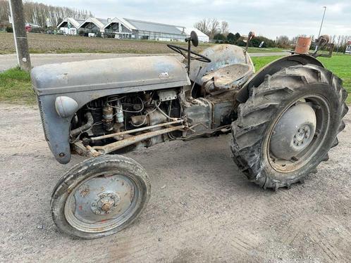 1955 - Ferguson - Oldtimer tractor, Zakelijke goederen, Landbouw | Tractoren