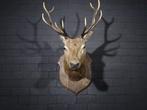 Large Red Stag - head-mount on shield - Taxidermie, Nieuw