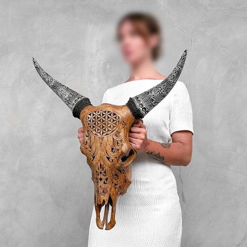 PRIX SANS RÉSERVE - Crâne de vache marron sculpté avec des, Antiek en Kunst, Kunst | Designobjecten