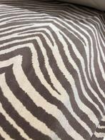 velluto cotone zebra 500 x 140 - Tissu d’ameublement - 500, Antiek en Kunst