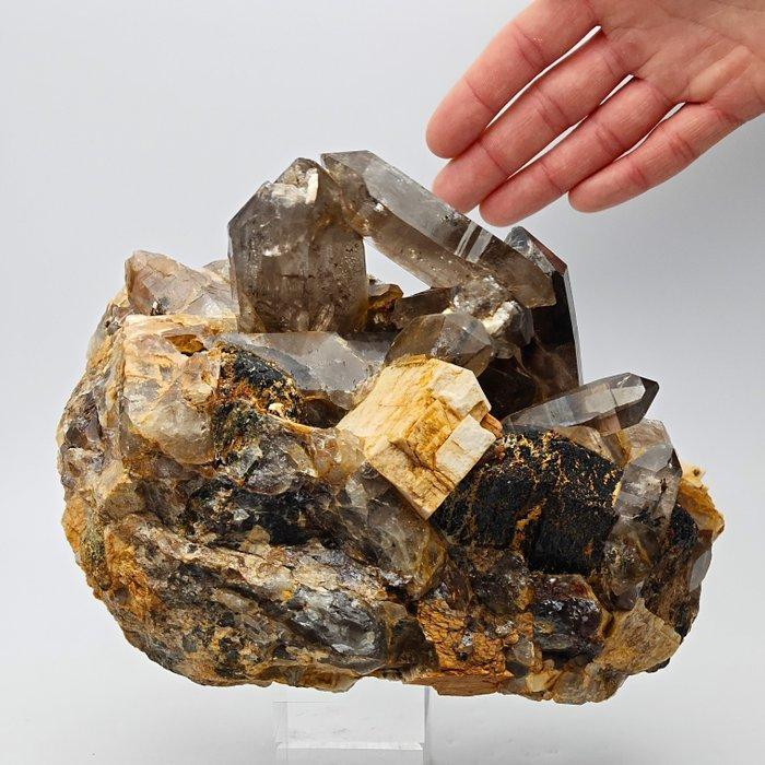 Grosso, aegirine ingelijst in rookkwarts en microklin, Collections, Minéraux & Fossiles