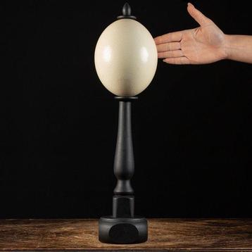 Spécimen Wunderkammer - Oeuf d’autruche - Sous-sol fait main, Nieuw
