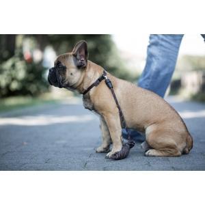 Laisse longue goleygo 2.0 rope marron, Animaux & Accessoires, Accessoires pour chiens