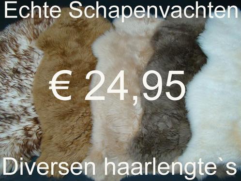 Schapenvacht OPRUIMING 100% schapenvel € 24,95 GROOT ASS., Huis en Inrichting, Woonaccessoires | Overige, Nieuw, Verzenden