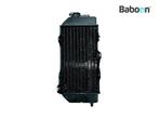 Radiateur Honda NX 250 Dominator 1988-1993 (NX250), Motoren, Verzenden, Nieuw