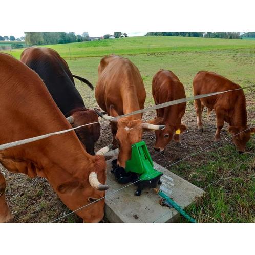 Weidepomp p100 duo geschikt voor paarden en rundvee - 1 inch, Dieren en Toebehoren, Stalling en Weidegang