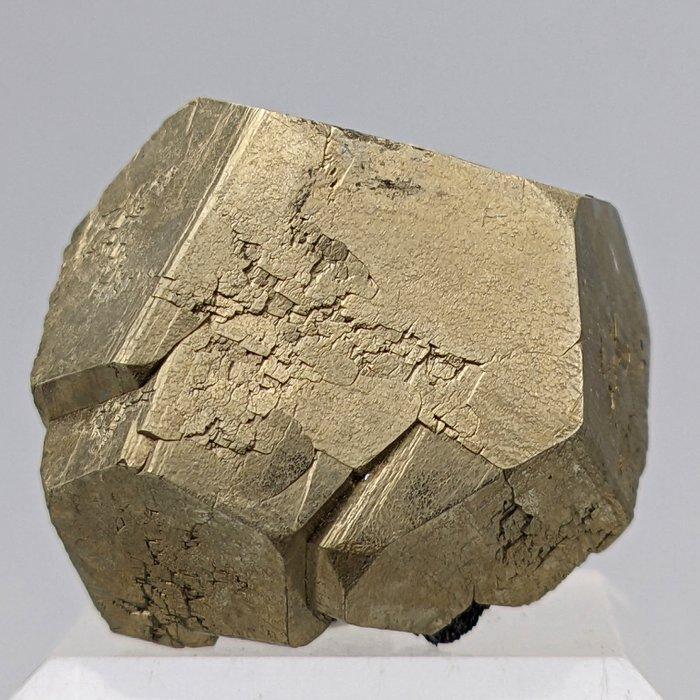 DORATA sur EMATITE Brillante, Naturelle 100% Cristaux -, Verzamelen, Mineralen en Fossielen