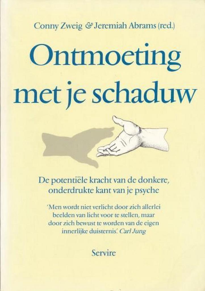 Ontmoeting met je schaduw 9789063254285, Boeken, Psychologie, Zo goed als nieuw, Verzenden
