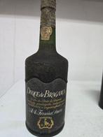 Ferreira Duque de Bragança, Superior Tawny, Dona Antonia,, Nieuw
