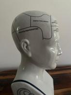 Medisch instrument - Porselein - Schedel leer - Phrenology, Antiek en Kunst