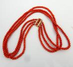 Collier - 14 carats Or jaune Corail rouge, Nieuw