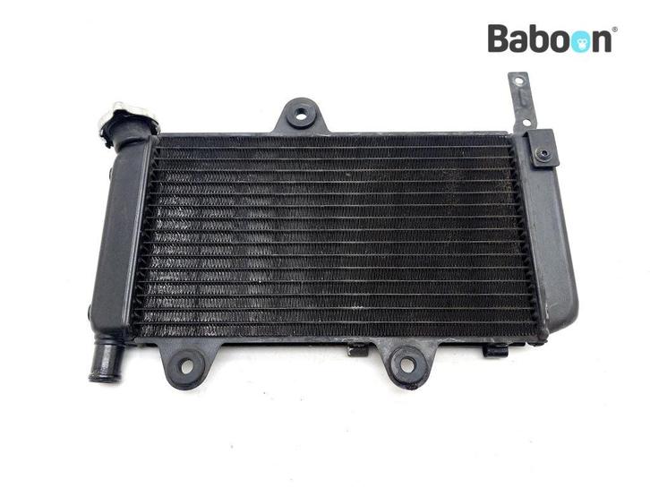 Radiateur Yamaha XT 660 X 2004-2014 (XT660X), Motoren, Onderdelen | Yamaha, Gebruikt, Verzenden