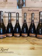 Bellavista, Alma Assemblage 1 - Franciacorta - 6 Flessen, Verzamelen, Nieuw