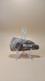 Neolithisch Stenen bijlkop (Zonder minimumprijs)