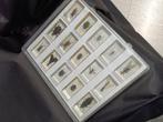 insecten Taxidermie volledige montage - Insetti incastonati, Verzamelen, Nieuw