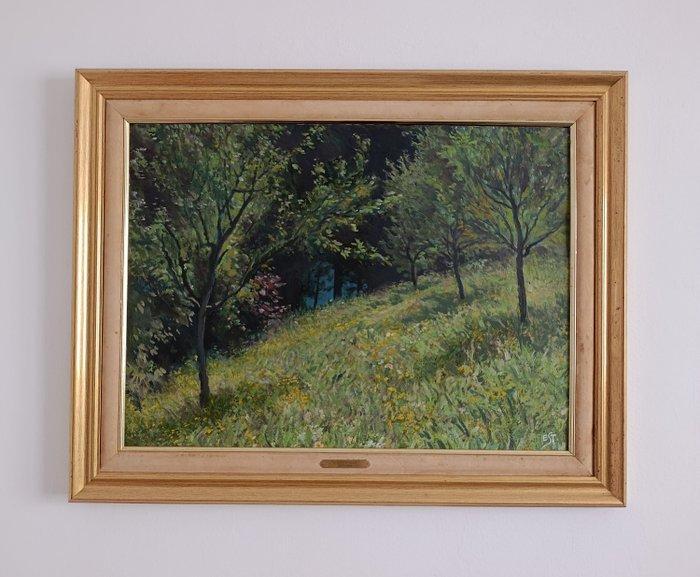 Eduard Stella (1884-1955) - Verger en bord de forêt, Antiek en Kunst, Kunst | Schilderijen | Klassiek