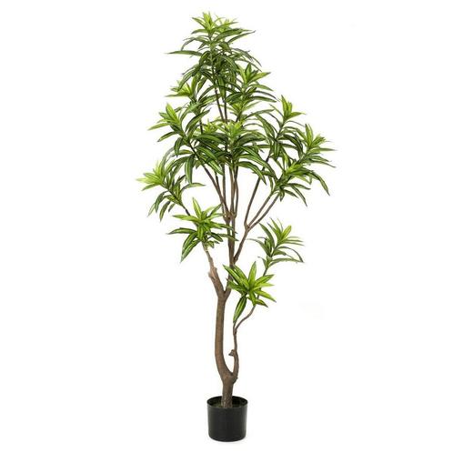 Kunstplant - Dracaena - Drakenboom - 155 cm, Maison & Meubles, Accessoires pour la Maison | Plantes & Fleurs artificielles