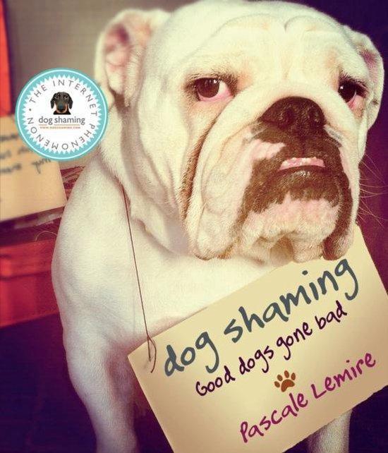 Dog Shaming 9780753555156 Pascale Lemire, Boeken, Taal | Engels, Gelezen, Verzenden