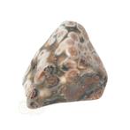 Oceaan Jaspis trommelsteen Nr 41 - 15 gram, Verzenden