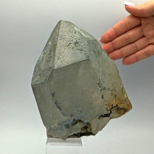 ENORME ALPINE QUARTZ - 1,4 kg bedekt met GROEN CHLORIET,, Verzamelen, Mineralen en Fossielen