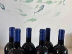 1999 Tenuta San Guido, Sassicaia - Bolgheri DOC - 6 Flessen, Nieuw
