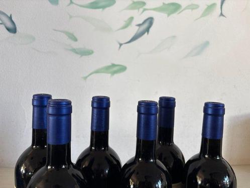 1999 Tenuta San Guido, Sassicaia - Bolgheri DOC - 6 Flessen, Verzamelen, Wijnen