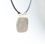 Muonionalusta meteoriet IJzeren meteoriet hanger / nieuw -, Verzamelen, Mineralen en Fossielen