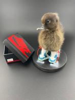Canard Support de corps entier pour taxidermie - Anas