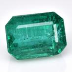 1 pcs Groen Smaragd - 4.91 ct - nternational Colored, Nieuw