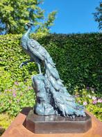 sculptuur, Peacock - 49 cm - Brons, Marmer