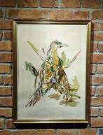 Oskar Kokoschka (1941-1980) - Dzicio