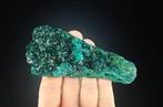 Pas de RP ! Dioptase avec Malachite Cristaux sur matrice -