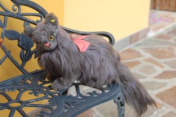 Steiff: Diva de perzische kat, EAN 2835/35 - Animal en beschikbaar voor biedingen