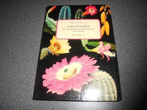Cactussen en andere succulenten in kleur 9789022610084, Boeken, Overige Boeken, Gelezen, Verzenden