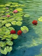 Emre Kinali - Dancing Lilies, Antiek en Kunst