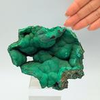 GEODE de malachite verte mammellonnée, République, Verzamelen, Mineralen en Fossielen
