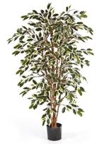 Kunstplant Ficus Nitida Mixed 180 cm, Huis en Inrichting, Kamerplanten, Verzenden
