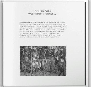 Crâne - Atoni Timor - Indonésie, Antiek en Kunst, Kunst | Niet-Westerse kunst