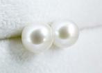 Zonder minimumprijs - Oorbellen - 14 karaat Witgoud Parel -, Nieuw