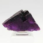 FLUORITE VIOLA, Cristallo met traptreden, FANTASMI, USA