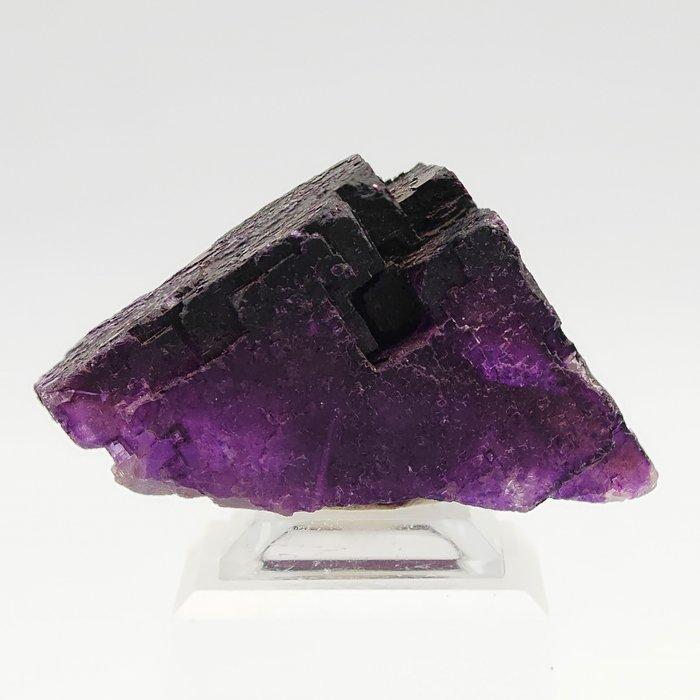 FLUORITE VIOLA, Cristallo met traptreden, FANTASMI, USA, Verzamelen, Mineralen en Fossielen