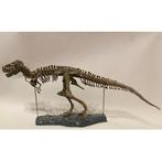 Tyrannosaurus rex XXL replica - Fossiel skelet -