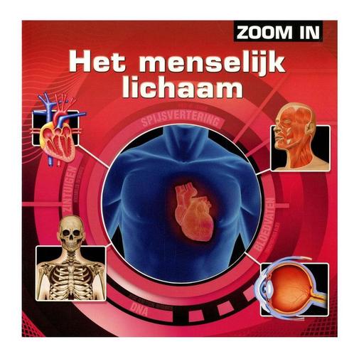 Zoom in: Het Menselijk Lichaam 9789039623411 Rebo, Boeken, Overige Boeken, Gelezen, Verzenden