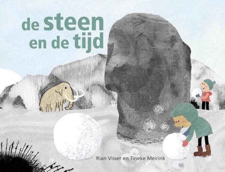 De steen en de tijd 9789491647260 Rian Visser, Boeken, Prentenboeken en Plaatjesalbums, Zo goed als nieuw, Verzenden