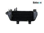Oliekoeler Triumph Daytona 955 2002-2004 (955i), Motoren, Verzenden, Gebruikt