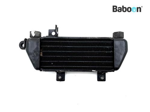 Oliekoeler Triumph Daytona 955 2002-2004 (955i), Motoren, Onderdelen | Overige, Gebruikt, Verzenden