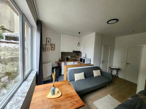 Appartement en Rue Saint-Alphonse, Saint-Josse-ten-Noode, Immo, Appartements & Studios à louer, 20 à 35 m², Bruxelles