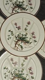 Villeroy & Boch - Assiette à dîner (5) - Botanica -