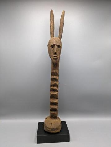 Tiwara - Mali (Sans Prix de Réserve)